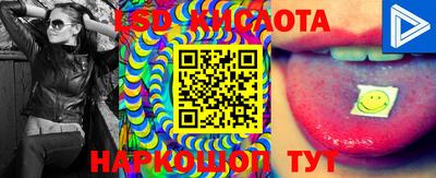 МДПВ Дубна