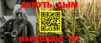 МДПВ Дубна