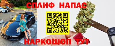 СК Донецк
